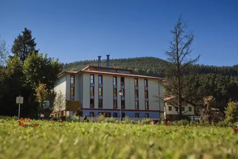 Hotel Balneario Areatza in Areatza — foto 2