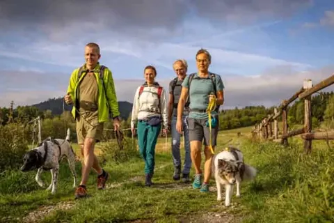 Der Wolfshof foto 12