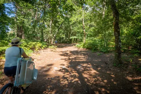 Camping Les Goélands in Arès — foto 16
