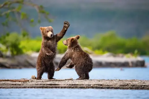 Alaska & Yukon Highlights in Alaska — foto 13