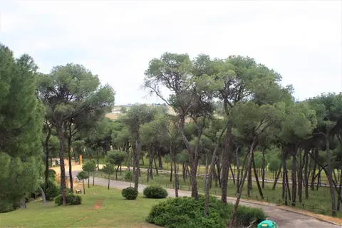 Legado Oromana Hotel in Alcalá de Guadaíra, foto 5