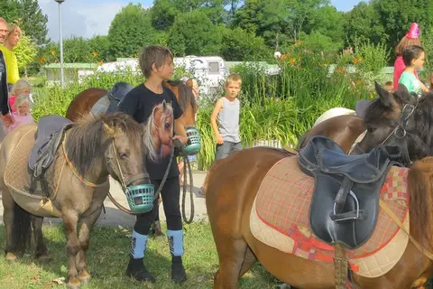 Camping Du Bois De Reveuge in Huanne-Montmartin — foto 13