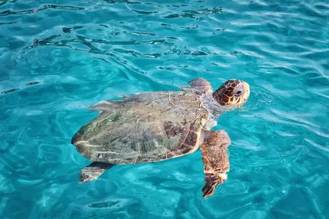 Ontdek Zakynthos vanuit Argassi in Griekse eilanden