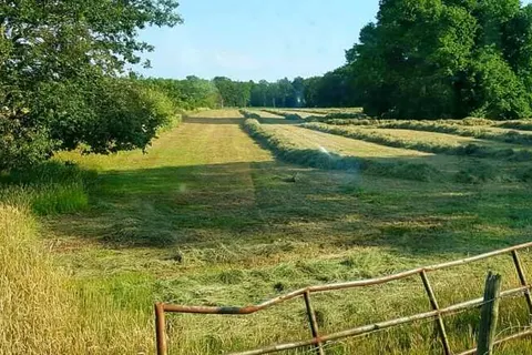 Recreatiepark de Bosrand foto 14