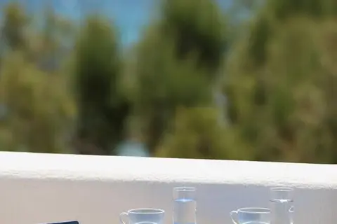 Paros Inn Hotel in Πίσω Λιβάδι — foto 24