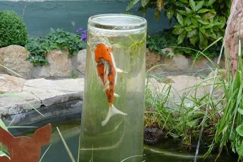 Gasthof Löwen Heitersheim foto 19