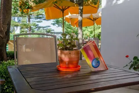 Hotel Palmyra Nidri in Δημοτική Ενότητα Ελλομένου — foto 17