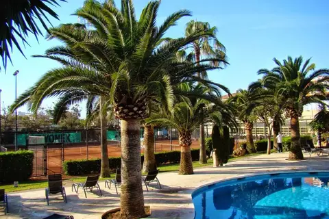 Aparthotel Club Simo in Son Servera — foto 18