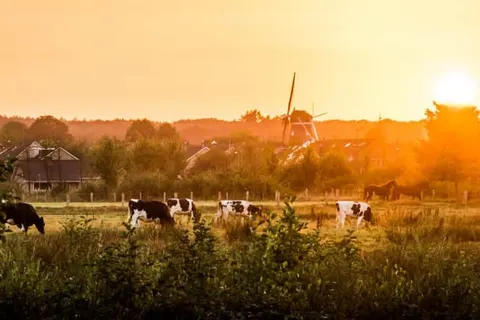 Hotel Van der Maas Ootmarsum foto 23