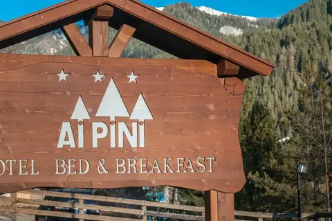Hotel ai Pini in San Giovanni di Fassa — foto 14