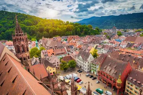 Landgasthof Freiämter Hof foto 18