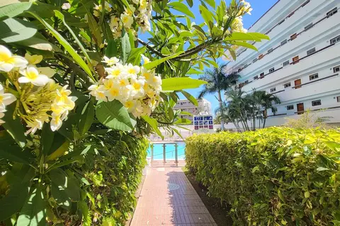 Las Camelias in San Bartolomé de Tirajana, foto 28