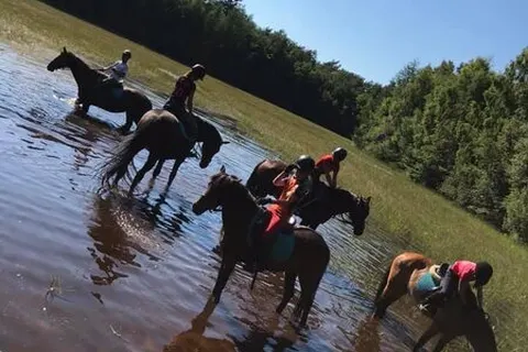 Camping De Bronzen Emmer foto 5