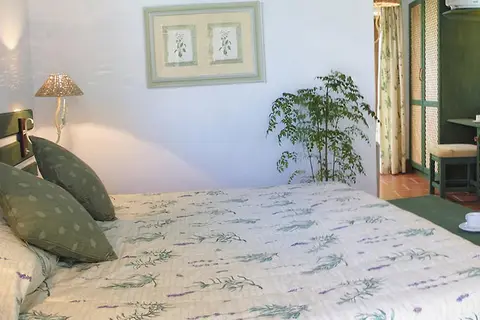 Knysna Hollow Country Estate in George — foto 3