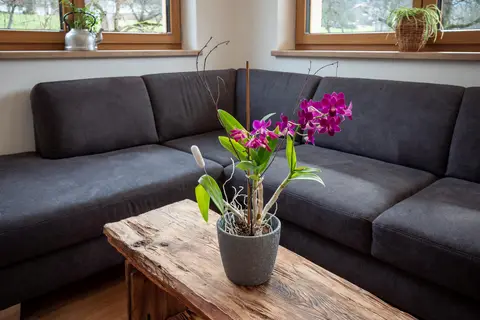 Appartementen Höllwarth in Stumm — foto 6