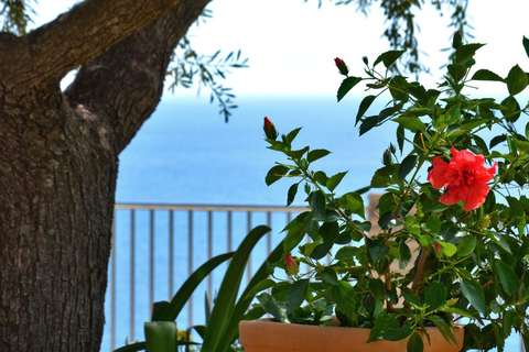 Villa Tireda foto 10