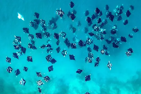 NH Collection Maldives Reethi Resort in Fonimagoodhoo — foto 25