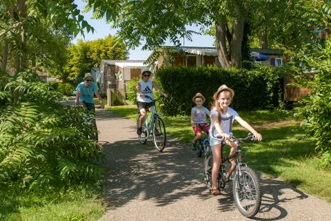 Camping L Ile Du Rhin foto 7