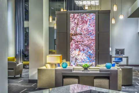 Hyatt Place Washington DC/National Mall in Washington D.C. — foto 17