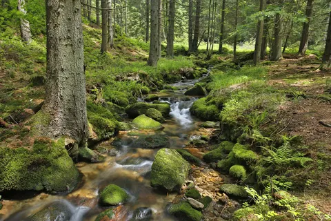 Knaus Campingpark Lackenhäuser foto 4