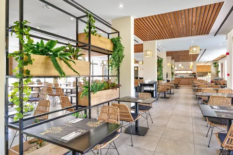 White Olive Elite Laganas foto 5