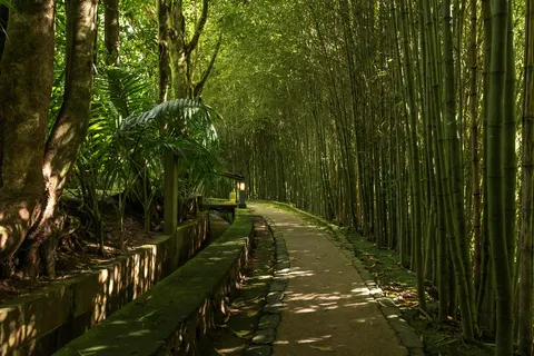 Appartementen Quinta da Mo foto 13