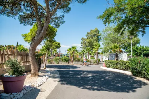 Camping Club Les Tamaris - Ms Vacances in Le Barcarès — foto 29