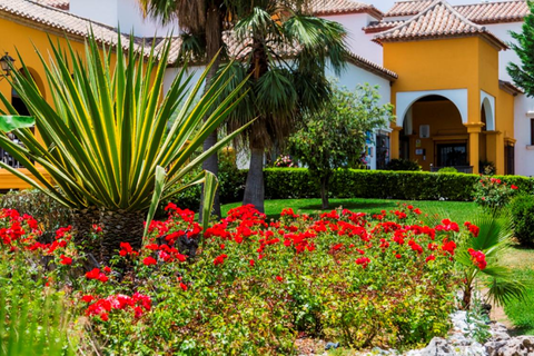 Hotel B BOU La Vinuela & SPA foto 14