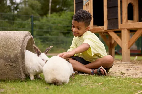Camping Rcn De Noordster foto 23