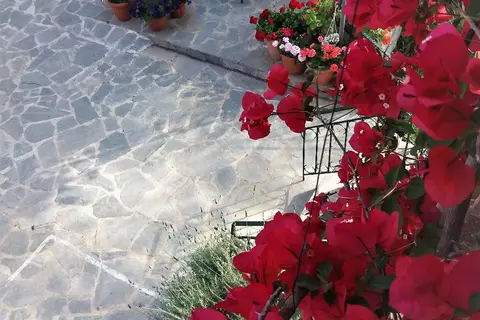Ziogas Luxury Apartments in Ύψος — foto 17