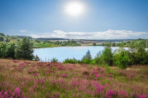 Mooi Zutendaal in Zutendaal — foto 17