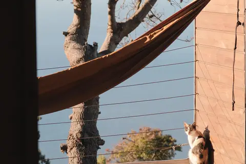 Calheta Glamping Pods in Calheta, foto 5
