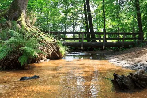 Hotel Asteria foto 25