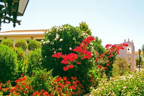 Akamanthea Holiday Village in Πόλις Χρυσοχούς — foto 7