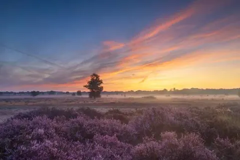 Fietsvakantie door de kop van Drenthe foto 6