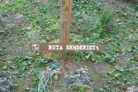 Camping La Sierrecilla foto 8