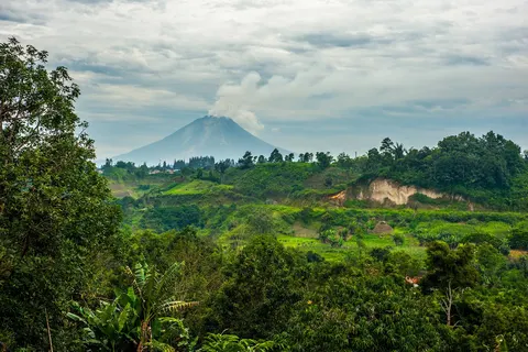 Fascinerend Indonesië foto 9