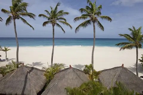 Manchebo Beach Resort & Spa in Punta Brabo — foto 25