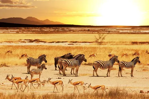 16-daagse rondreis Klassiek Namibië in Windhoek