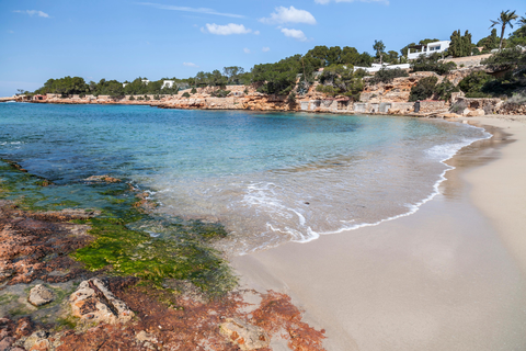 Sol Bahia Ibiza Suites foto 9