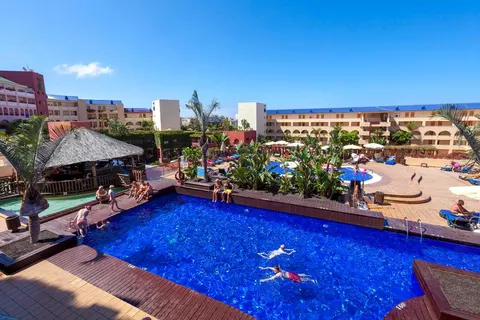 Best Jacaranda foto 1