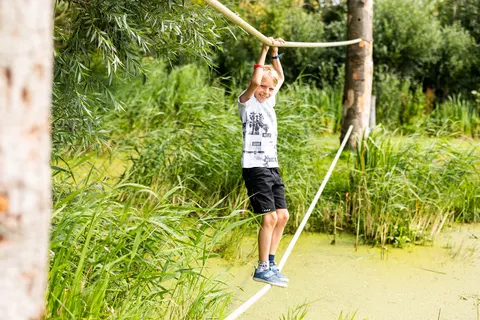 Camping De Watersnip foto 11