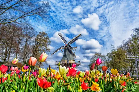 Nederland in bloei in Westerveld, foto 5