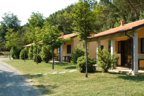 Camping Arizona foto 4