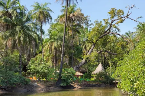 9 daagse combinatiereis Beleef het échte Gambia foto 4