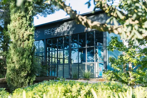 Camping Miramar foto 28