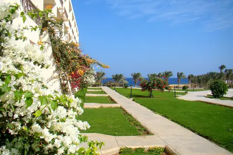 Royal Brayka Resort in مرسى علم — foto 14