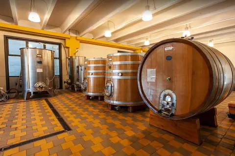 Agriturismo Cantina Bevione in Farigliano, foto 20