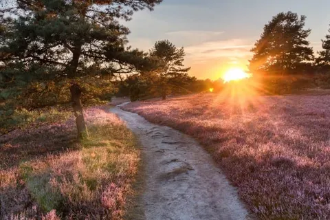 NH Jan Tabak foto 24