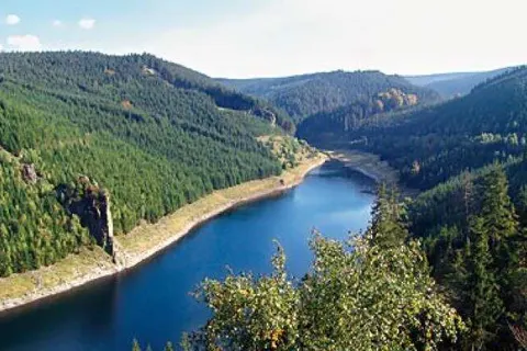 Waldhotel Friedrichroda foto 26